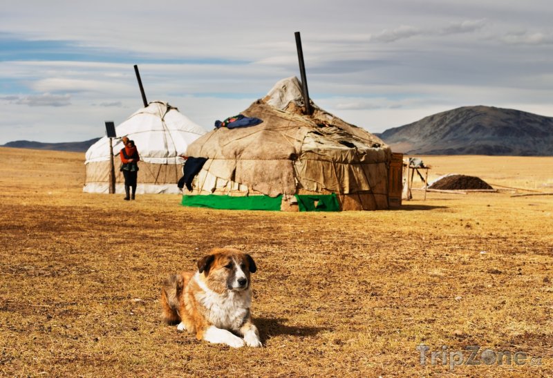 Fotka, Foto Tradiční mongolské jurty (Mongolsko)