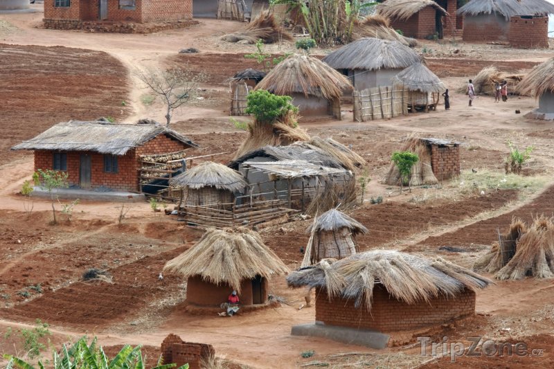 Fotka, Foto Typická malawijská vesnice (Malawi)