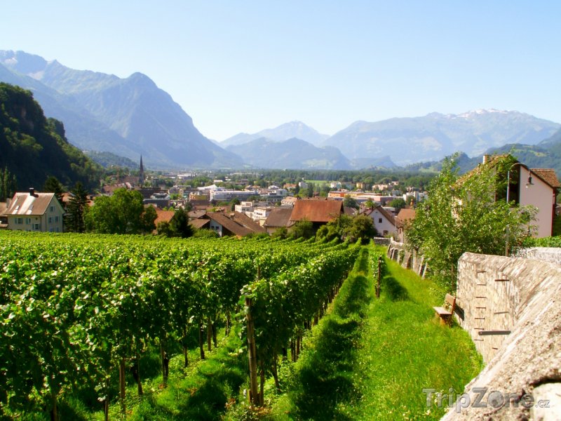 Fotka, Foto Vinice u města Vaduz (Lichtenštejnsko)