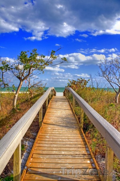 Fotka, Foto Dřevěná lávka na pláž (Tampa, USA)