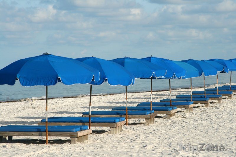 Fotka, Foto Lehátka a slunečníky na pláži (Tampa, USA)