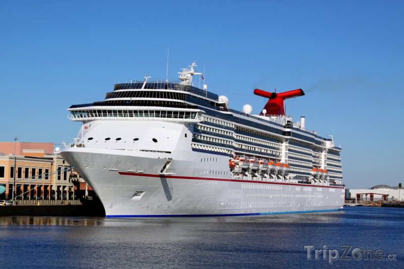 Fotka, Foto Luxusní výletní loď v Port of Tampa (Tampa, USA)
