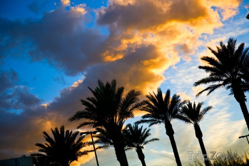 Fotka, Foto Pohled na palmy a oblohu při západu slunce (Miami, USA)