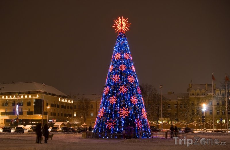 Fotka, Foto Vánoční strom na Katedrálním náměstí (Vilnius, Litva)