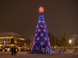 Vánoční strom na Katedrálním náměstí