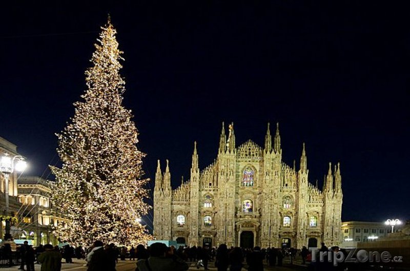 Fotka, Foto Vánoční strom v Miláně