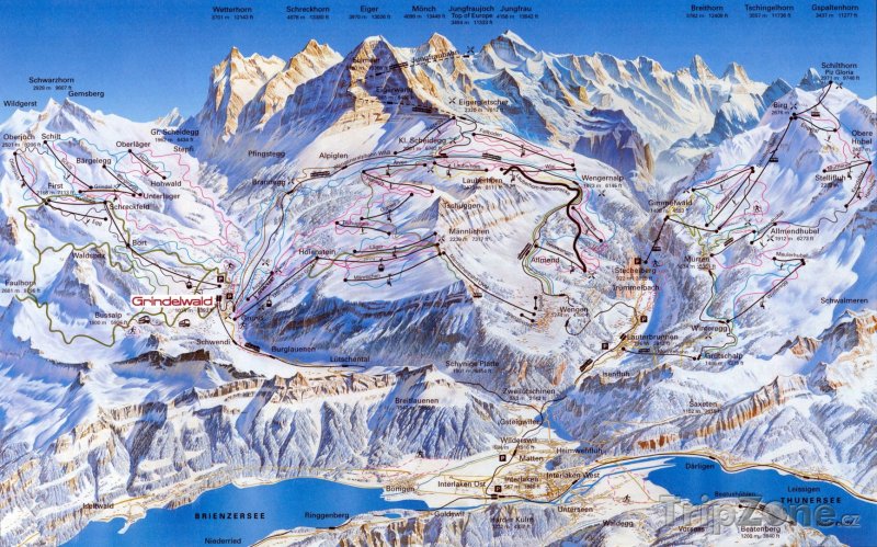 Fotka, Foto Mapa lyžařského střediska Grindelwald-First