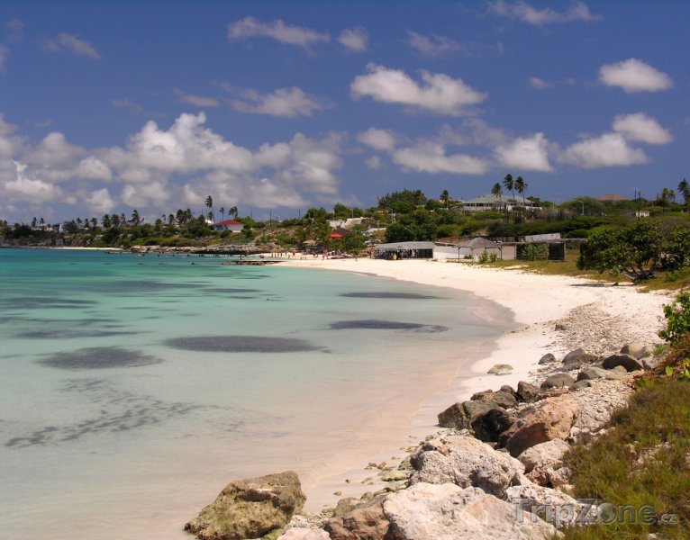 Fotka, Foto Oranjestad, Coco Beach (Aruba)