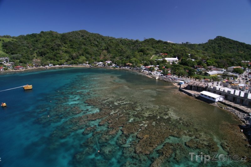 Fotka, Foto Roatán, korálové útesy u pobřeží (Honduras)