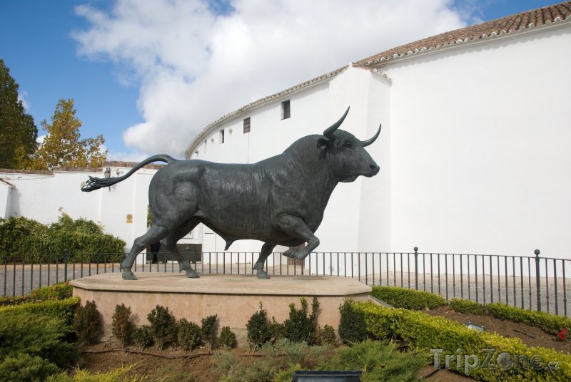 Fotka, Foto Socha býka na Plaza de Toros (Málaga, Španělsko)