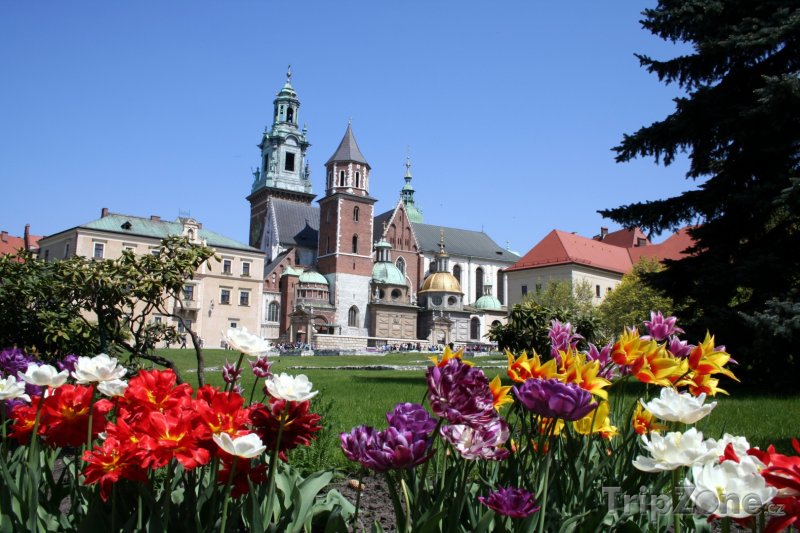 Fotka, Foto Zahrada před wawelskou katedrálou (Krakov, Polsko)