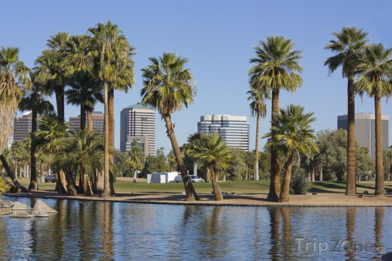 Fotka, Foto Encanto Park, palmy u jezírka (Phoenix, USA)