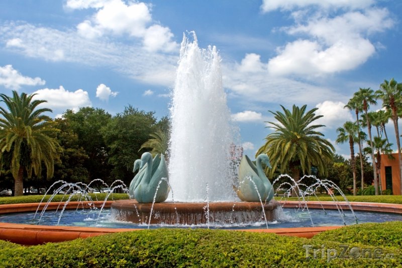 Fotka, Foto Fontána ve Walt Disney World Resort (Orlando, USA)