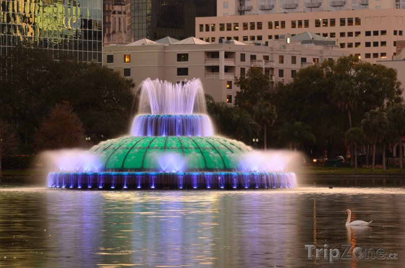Fotka, Foto Jezero Eola, osvětlená fontána (Orlando, USA)