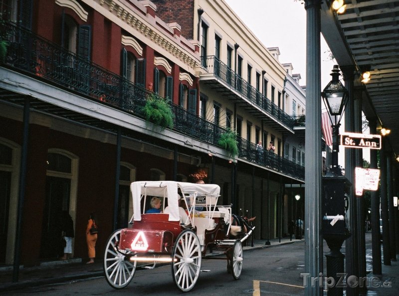 Fotka, Foto Kočár pro turisty (New Orleans, USA)
