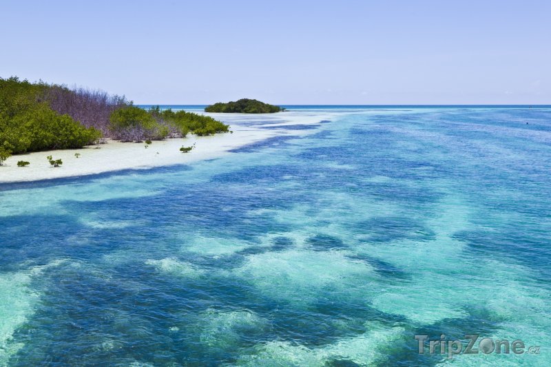 Fotka, Foto Průzračné moře u pobřeží (Key West, USA)