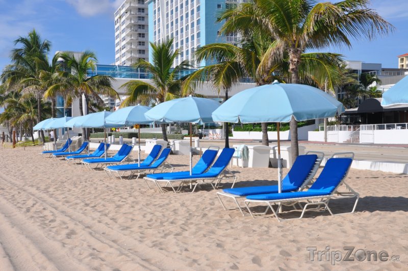 Fotka, Foto Slunečníky a lehátka na pláži (Fort Lauderdale, USA)