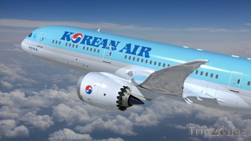 Fotka, Foto Dreamliner aerolinek Korean Air