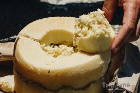 Sýr Casu Marzu