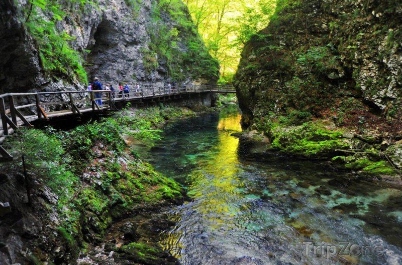 Fotka, Foto Triglavský národní park nedaleko Bledu