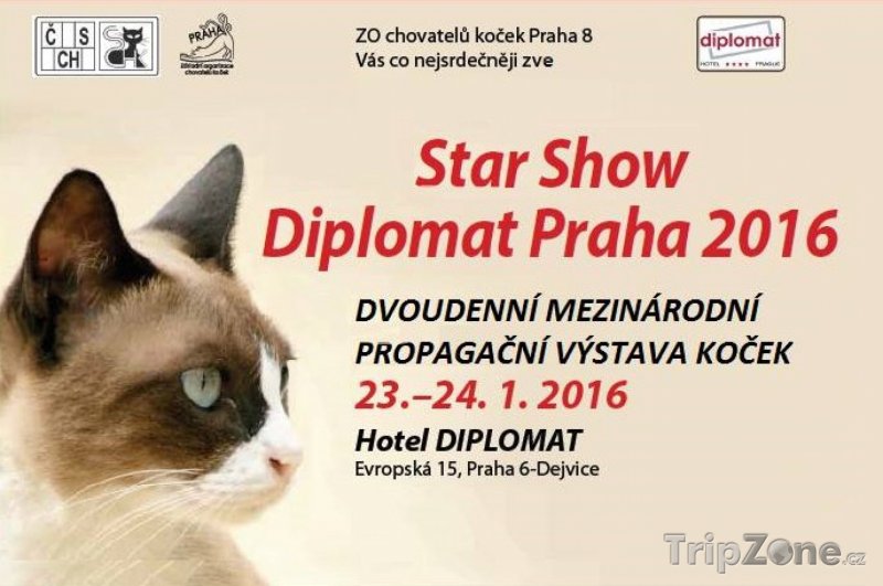 Fotka, Foto Výstava koček Star Show v hotelu Diplomat, foto: facebook.com